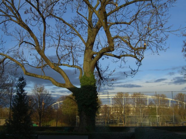 cimg0224.jpg