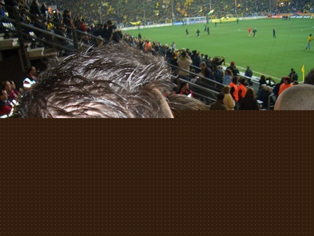 photo20.jpg