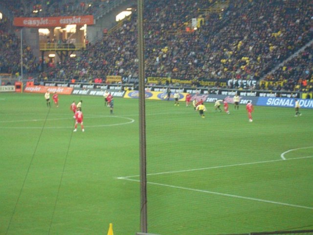 photo31.jpg