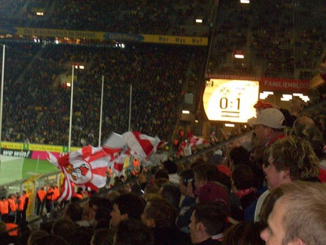 photo41.jpg