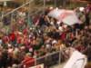 imgp1772_small.jpg