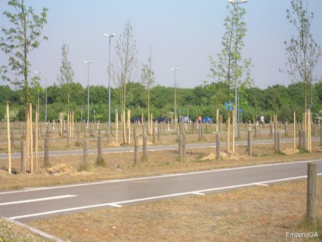 photo.jpg