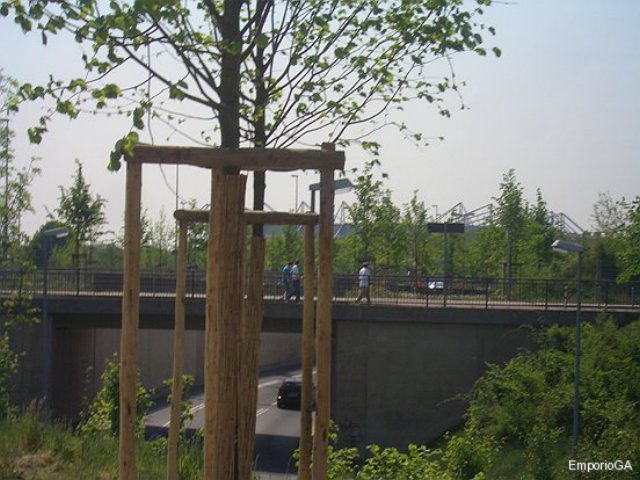photo2.jpg