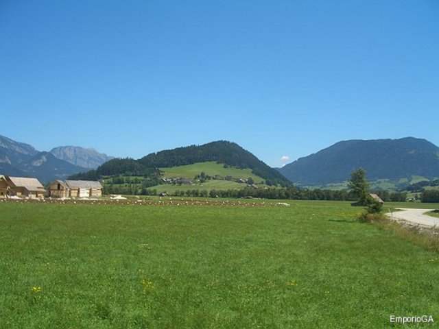 cimg6590110.jpg