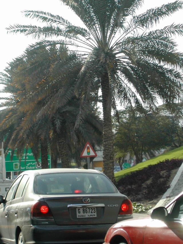 dscn6175.jpg
