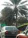 dscn6175_small.jpg