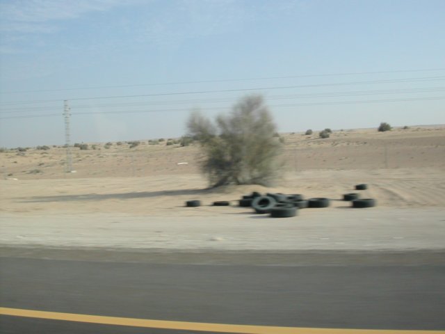 dscn6216.jpg