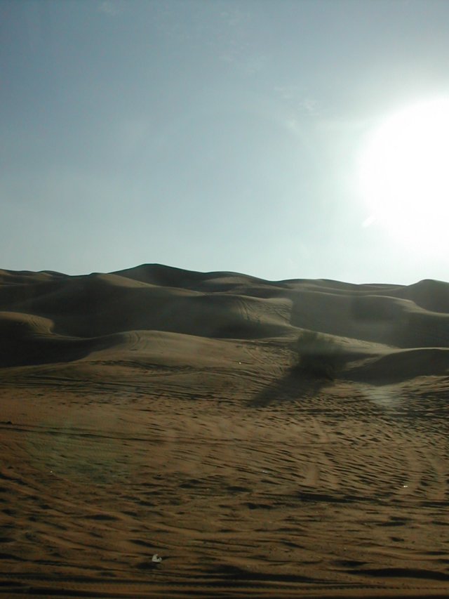 dscn6217.jpg