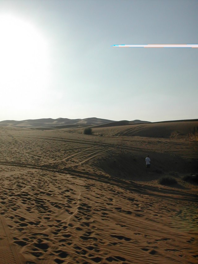 dscn6221.jpg