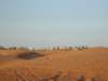 dscn6236_small.jpg