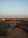 dscn6243_small.jpg