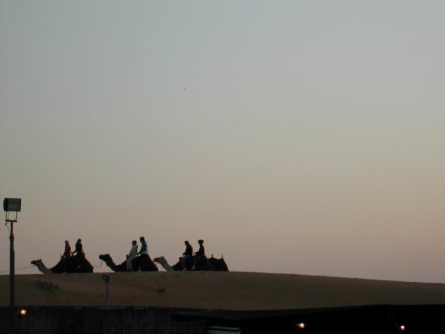 dscn6248.jpg