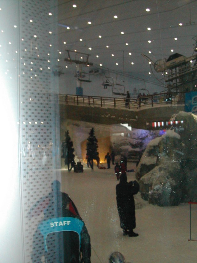 dscn6272.jpg