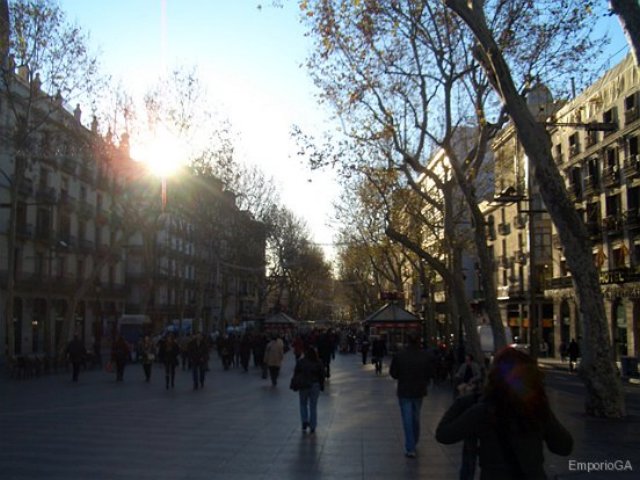 cimg9004059.jpg