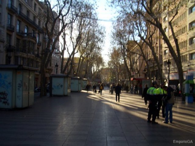 cimg9005060.jpg