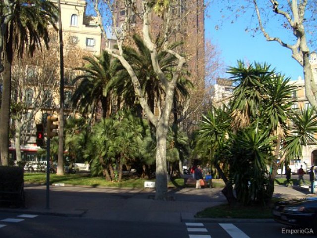 cimg9017072.jpg