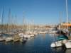 dsc04336_small.jpg