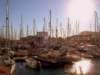 dsc04394_small.jpg