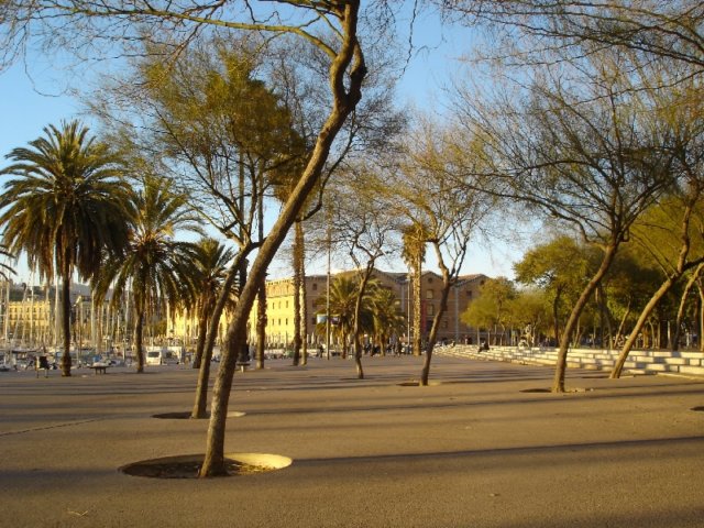 dsc04460.jpg
