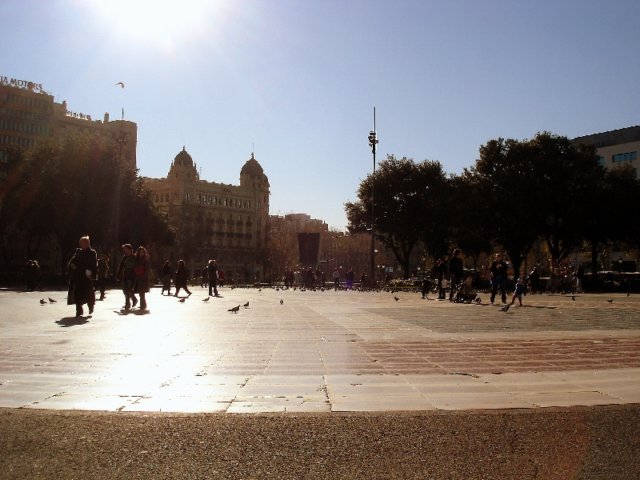 dsc04511.jpg
