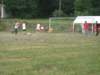 img_0241_small.jpg