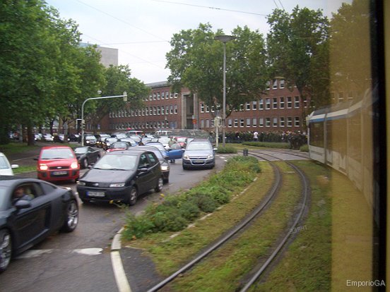 photo48.jpg