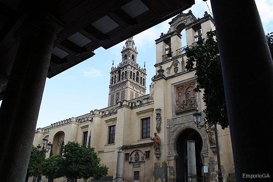 photo81.jpg