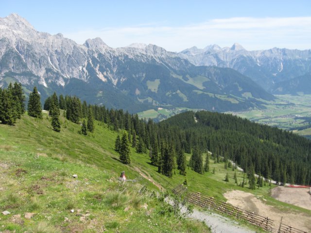 img_1415.jpg