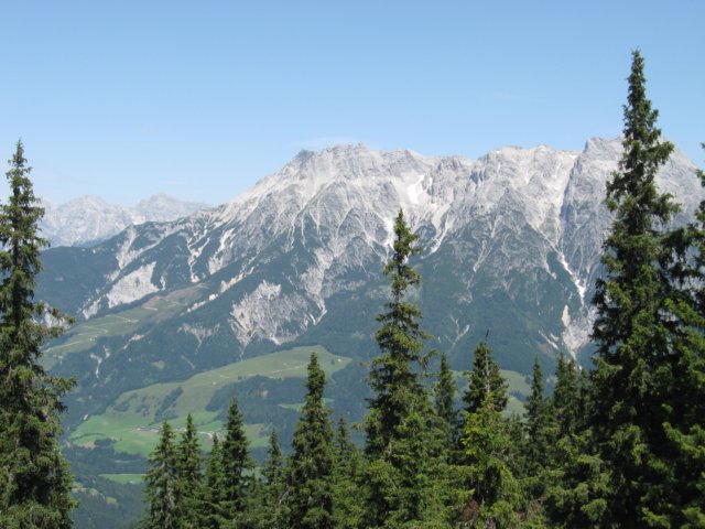 img_1418.jpg