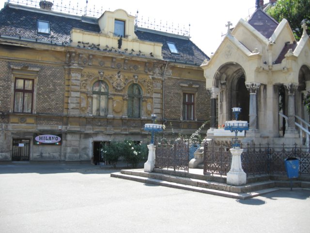 img_1863.jpg