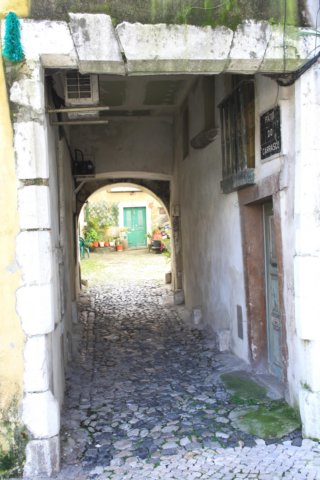 img_0176.jpg