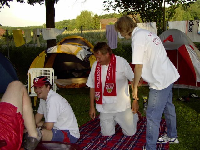 ynwa550.jpg