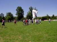 ynwa572_small.jpg