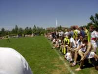 ynwa574_small.jpg