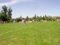 ynwa577_small.jpg