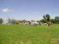 ynwa579_small.jpg