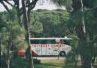 pict0028_small.jpg