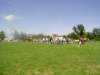 ynwa579_small.jpg