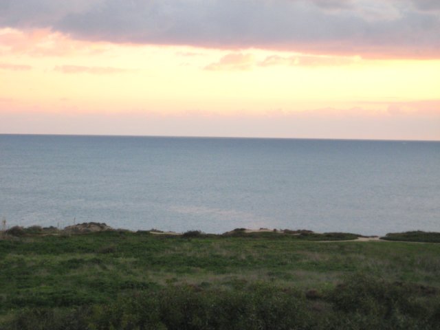 img_0458.jpg