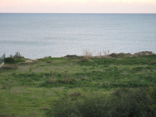 img_0459.jpg