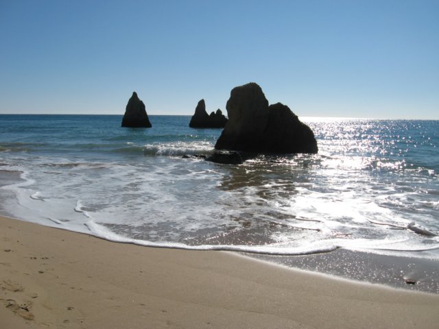 img_0484.jpg