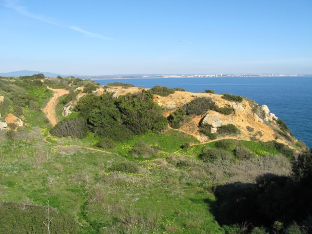 img_0522.jpg