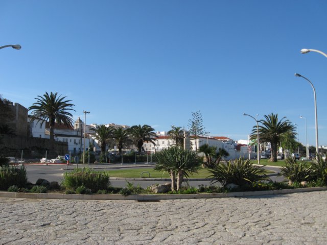 img_0567.jpg