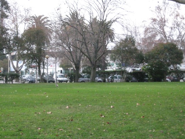 img_0708.jpg