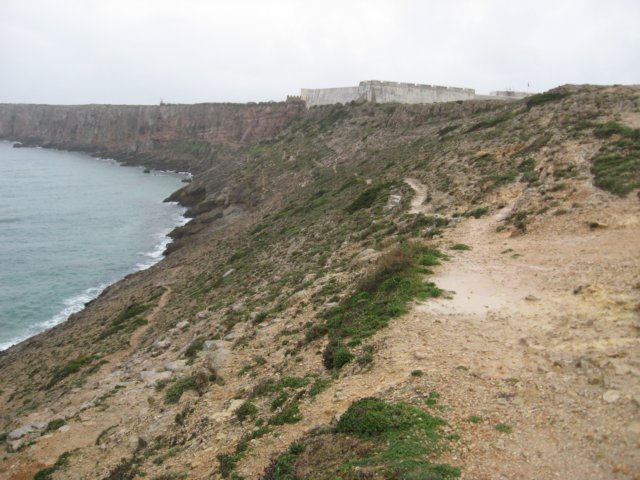 img_0766.jpg