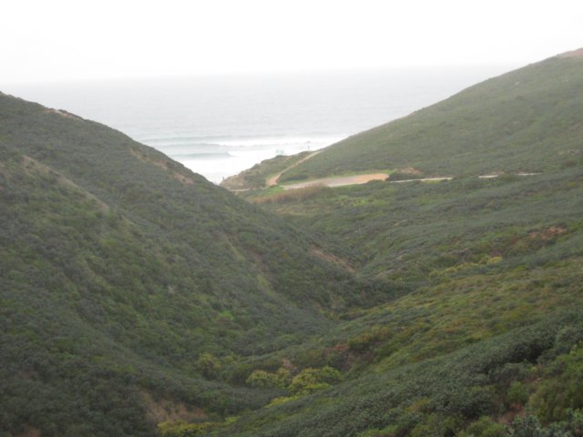 img_0859.jpg