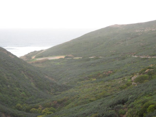 img_0861.jpg
